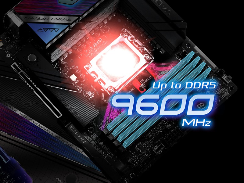 DDR5 XMP & EXPO Support